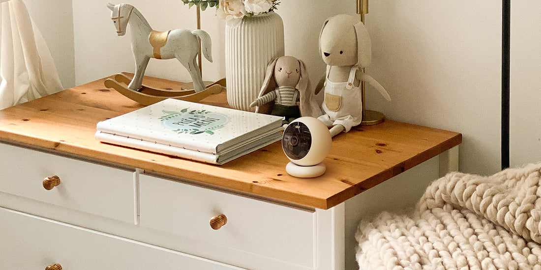 home surveillance camera