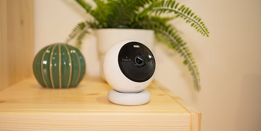 Camouflage Your Cameras: Creative Techniques for Hiding Security Cameras