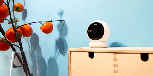 Choosing the Right System: A Guide to 4-Channel Security Camera Systems with Noorio