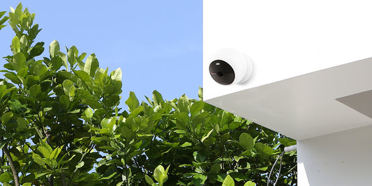 Wildlife Watch: Setting Up a Garden Wildlife Camera in the USA with Noorio