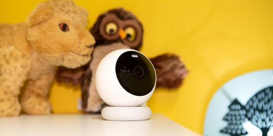 Smart Security Products: User Questionnaire and Statistical Insights