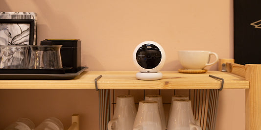 Connect a Security IP Camera to PC or Mac with Ease