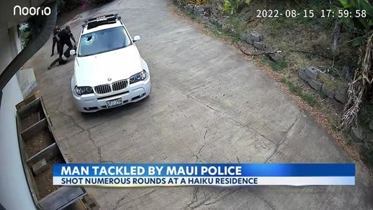 Noorio security camera help to prevent crime