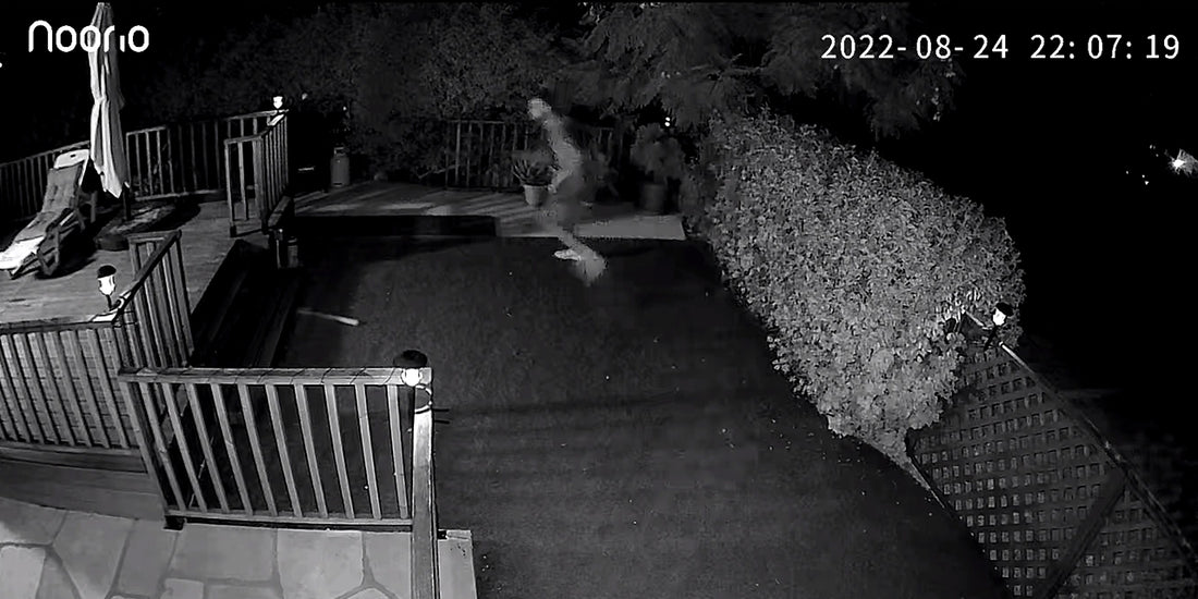 security camera footage
