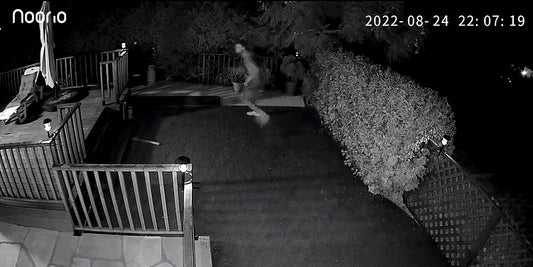 security camera footage