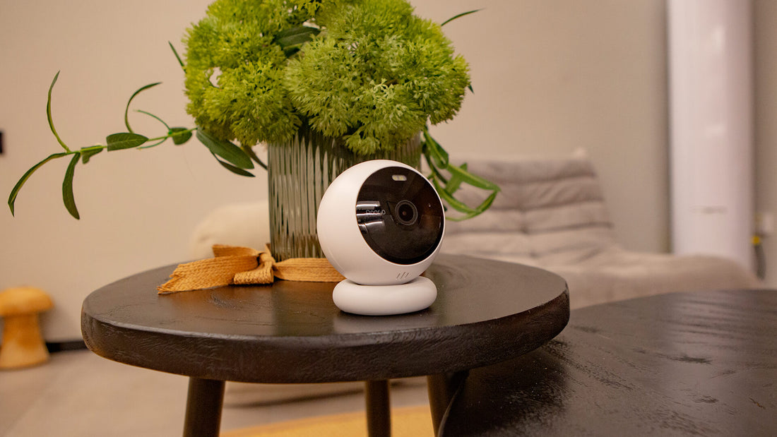 Noorio Pet-Friendly Home Security Camera