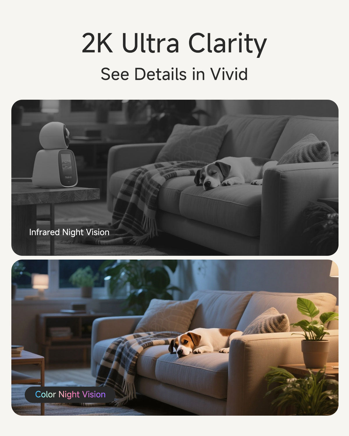 Noorio 5G Two Way Video Calling Camera, One Click Call 2K Pet Camera with Phone App, 360° PTZ Dog Cam with Speaker, Color Night Vision, 2.4 Inch Screen, CL200-5G，2-pack