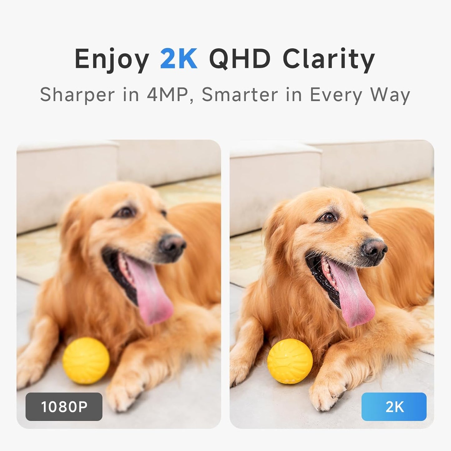 Noorio 2K Wired Security Camera Indoor, Pan/Tilt Pet Camera with Speaker, One Touch Call Dog Cam, Plug-in 24/7 SD&Cloud Storage, Night Vision, 2.4G WiFi Only, 2Pcs