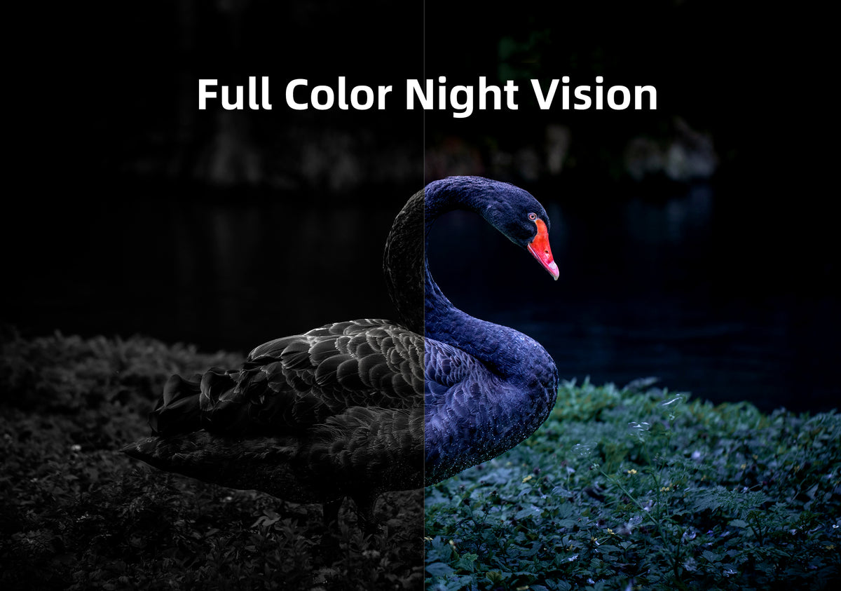 Noorio B310: Outdoor 2K Floodlight Camera - Screw Mount, No Monthly Fe ...